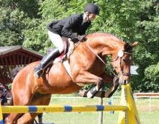 Reitturnier Mehringen