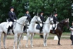 Reitturnier Mehringen