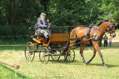 Volle Konzentration: Harald L&uuml;decke (Mehringen) in der Einsp&auml;nner Dressur 