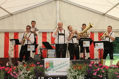 S&uuml;lzetal Musikanten