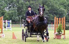 Reitturnier 2008 in Mehringen