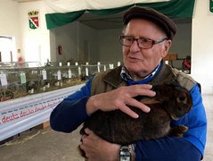 Kaninchenz&uuml;chter Mehringen