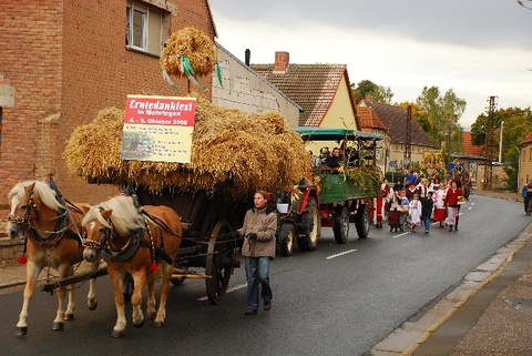 Erntedankfest 2008 Umzug