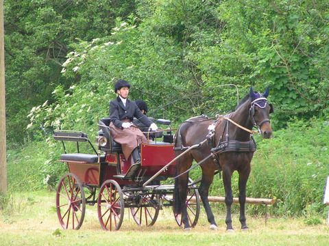 Reitturnier 2006 Mandy Dockhorn Reitturnier 2006 Mandy Dockhorn