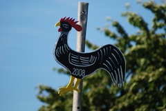 Hahnenk&ouml;nig 2008