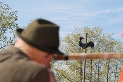 Hahnenk&ouml;nig 2008