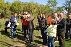 Hahnenk&ouml;nig 2008