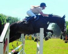 Reitturnier 2008 in Mehringen