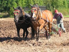 Leistungspfl&uuml;gen