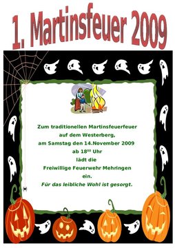 1.Martinsfeuer 2009