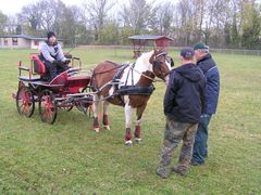 Fahrlehrgang Fahrlehrgang