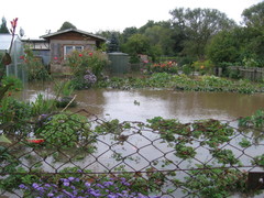 Hochwasser in der Gartenanlage