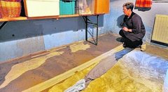 Arbeitszimmer Arbeitszimmer